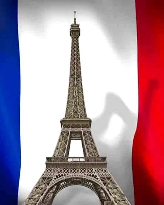 <span style="font-size: 24pt;"><br />FRANSIZCA</span>